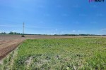 13408_9281611501.jpg