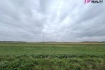 13486_0524632112.jpg